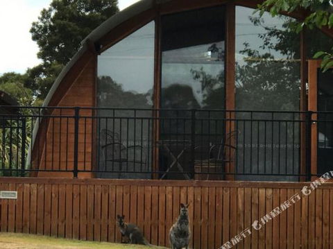 Bruny Island Accommodation 43 Degrees Beachside Studio Spa Apartments (1) - St Kilda Accommodation 1