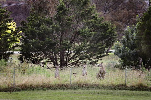 BATHURST GOLDFIELDS MOTEL On MOUNT PANORAMA - St Kilda Accommodation 6