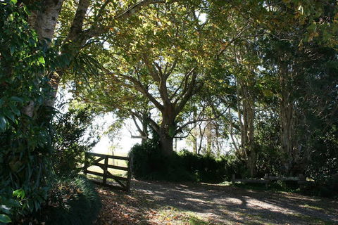 Maleny Mountain Retreat - St Kilda Accommodation 0