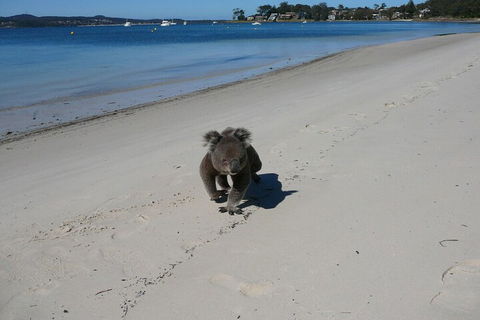 The Mitchells Waterfront Bed & Breakfast - St Kilda Accommodation 7