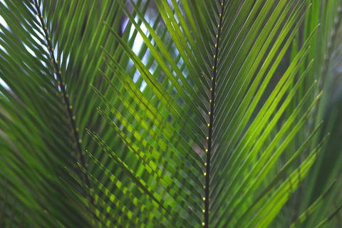 The Jackson Ranch - St Kilda Accommodation 2