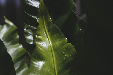 The Jackson Ranch - St Kilda Accommodation 1