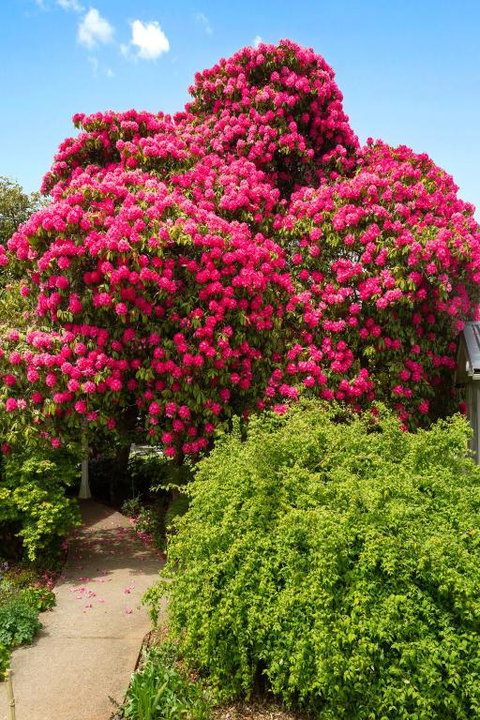 Anabels Of Scottsdale - St Kilda Accommodation 3