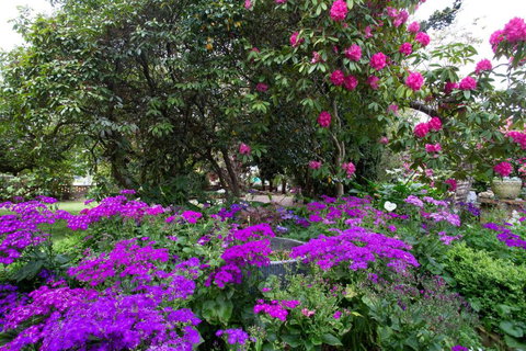 Anabels Of Scottsdale - St Kilda Accommodation 2