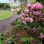 Anabels Of Scottsdale - St Kilda Accommodation 0