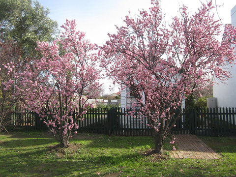 Sorell Barracks - St Kilda Accommodation 3