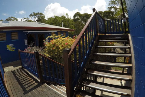 Cool Bananas Backpackers - St Kilda Accommodation 5