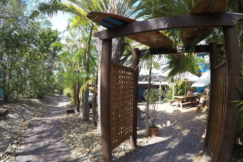 Cool Bananas Backpackers - St Kilda Accommodation 6