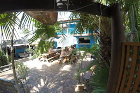 Cool Bananas Backpackers - St Kilda Accommodation 0