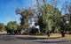 Amber Court Motel, Coonabarabran - thumb 5