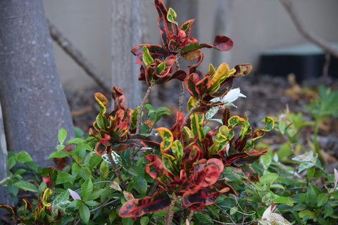 Gladstone Heights Executive Apartments - St Kilda Accommodation 3