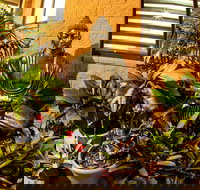 Pialba Motor Inn - St Kilda Accommodation