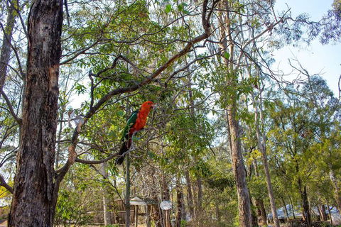 Kalimna Woods Cottages - St Kilda Accommodation 2