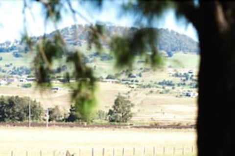 Killarney View Cabins & Caravan Park - St Kilda Accommodation 1