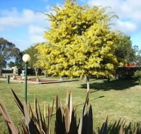 Bairnsdale Main Motel - St Kilda Accommodation