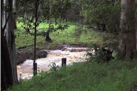 Spring Creek Mountain Cafe & Cottages - St Kilda Accommodation 5