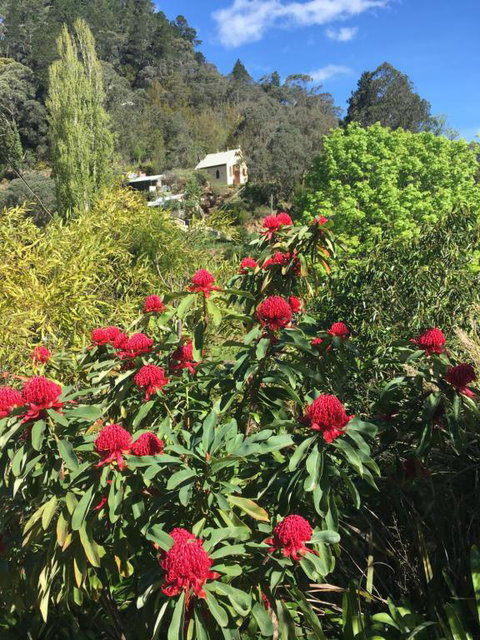 Stringers Cottage - St Kilda Accommodation 1