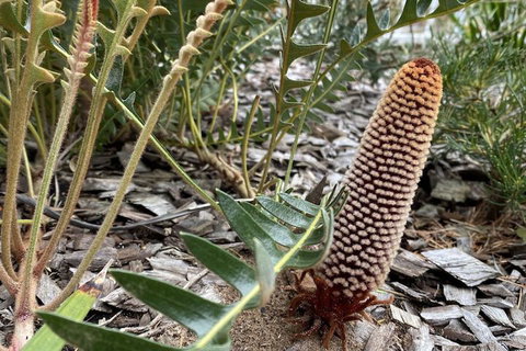 Sunny Side Up B&B - St Kilda Accommodation 5