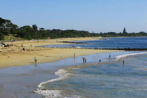 Roseneath Villa B & B - St Kilda Accommodation 5