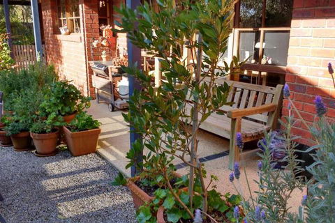 Roseneath Villa B & B - St Kilda Accommodation 2