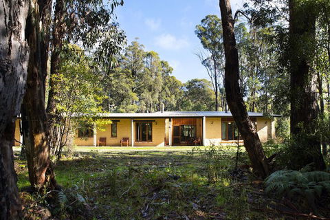 Gumtree Spring - St Kilda Accommodation 4