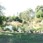 Still Waters - St Kilda Accommodation 0