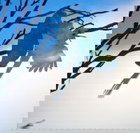 Tenterfield Cottage Holiday House - St Kilda Accommodation