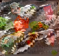 Toshi's Japanese Restaurant - St Kilda Accommodation