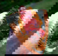 Bunnings Restaurant - St Kilda Accommodation