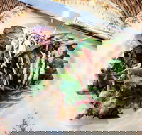 Frank and Connie's Kitchen - St Kilda Accommodation