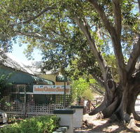 The Season Tree - St Kilda Accommodation