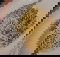 Valentino's Woodfire Pizzeria - St Kilda Accommodation