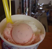 Bermagui Gelati Clinic - St Kilda Accommodation
