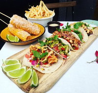 Chihuahua - St Kilda Accommodation