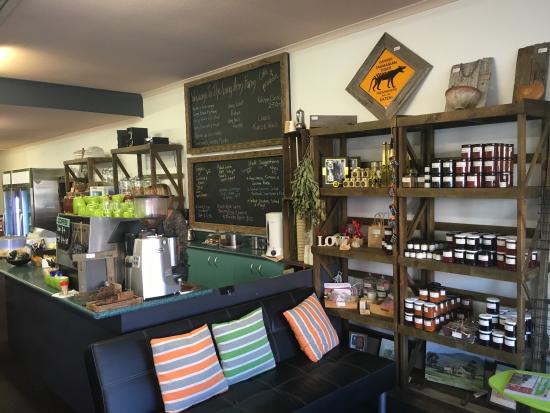 St Kilda Accommodation