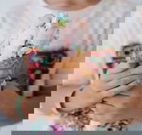 Get The Scoop Gelato Bar