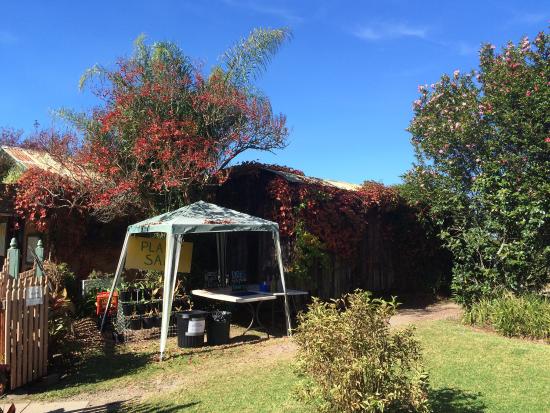 Bilpin NSW St Kilda Accommodation