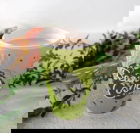 Bean Code - St Kilda Accommodation