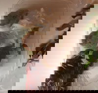 Dai Nam Cafe  Restaurant - St Kilda Accommodation