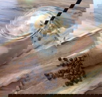 Allure Cafe  Co - St Kilda Accommodation