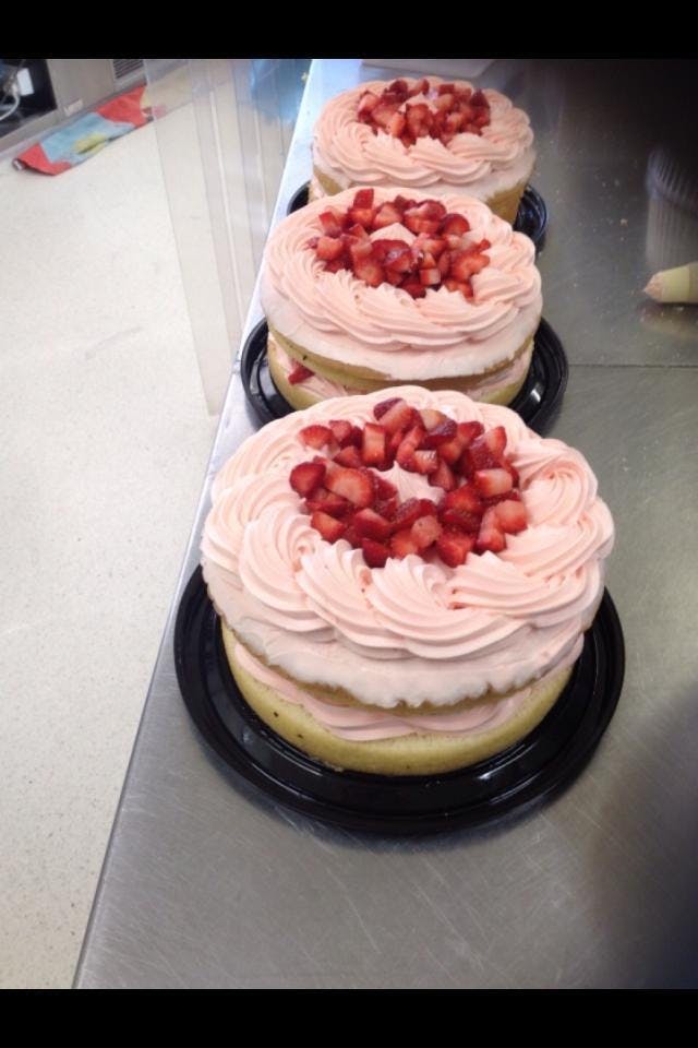 Bribie Island QLD St Kilda Accommodation