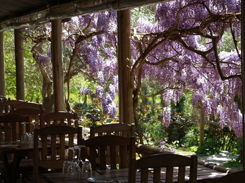 Skillogalee Winery & Restaurant - St Kilda Accommodation 2