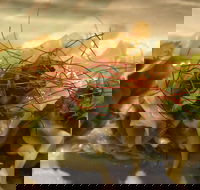 Tarana Indian Restaurant