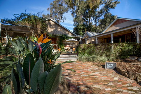 Briar Ridge Vineyard - St Kilda Accommodation 0