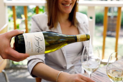 Briar Ridge Vineyard - St Kilda Accommodation 2