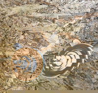 Salt. Coffee Roasters - St Kilda Accommodation