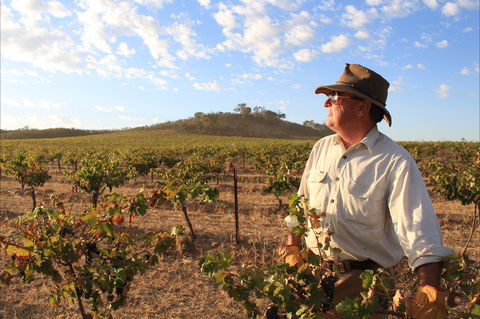 Sally's Paddock At Redbank Winery - St Kilda Accommodation 2