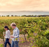 Boston Bay Wines
