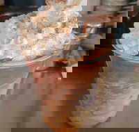 Fresh To Go - St Kilda Accommodation