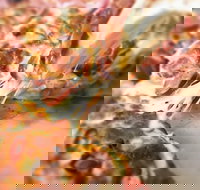 Pizza Rustica - St Kilda Accommodation